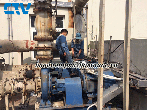 Cường Thịnh Vương chuyên gia sửa máy bơm nước hàng đầu